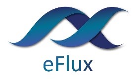 eFlux Logo